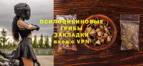 винт Арсеньев