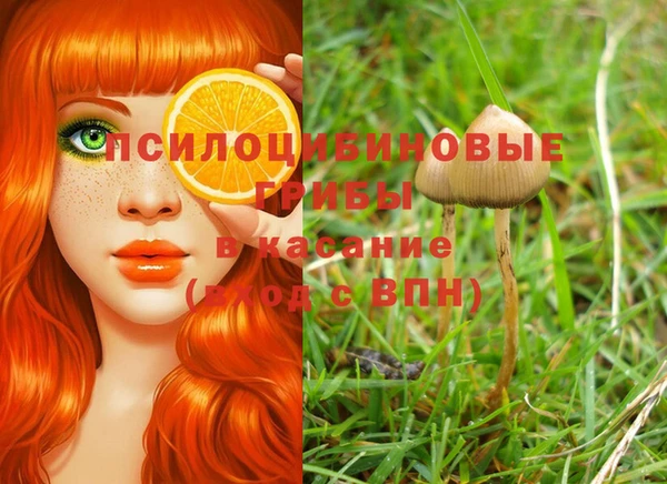 mix Аркадак