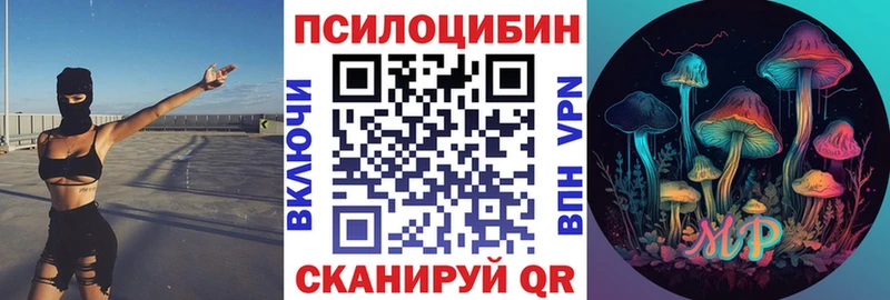 Псилоцибиновые грибы Psilocybine cubensis  Горбатов 